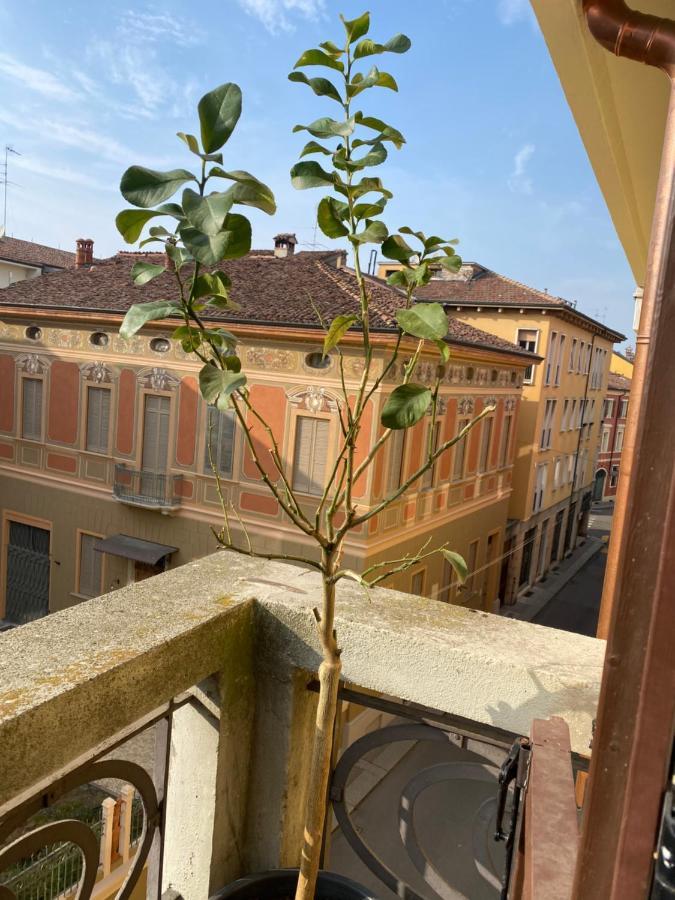 Appartamento Loft Manzoni 37 Cremona Esterno foto